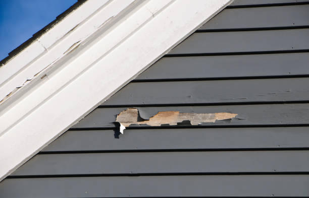 Best Property Management Cleanouts  in Miller, SD